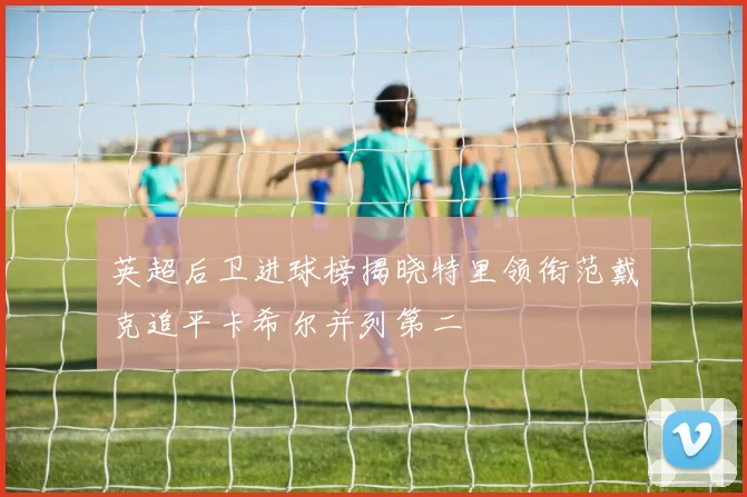 英超后卫进球榜揭晓特里领衔范戴克追平卡希尔并列第二